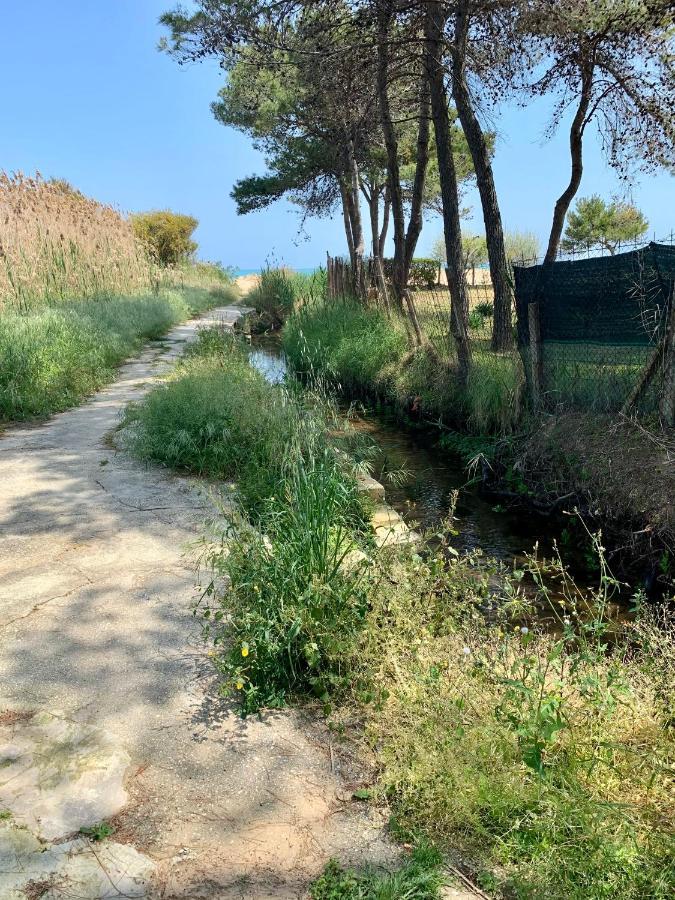 La Dimora In Riva Al Mare Hotell Vieste Eksteriør bilde